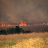 Les pompiers luttaient lundi sur plusieurs fronts dans la région et tentaient d'arrêter la progression de l'incendie vers le parc national de Dadia, qui avait déjà subi des dégâts importants à cause des incendies de forêt l'année dernière.